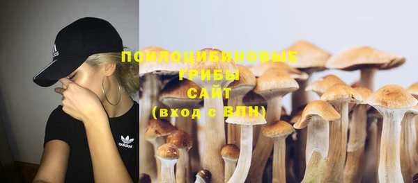 спиды Белокуриха
