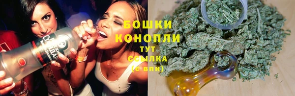 спиды Белокуриха