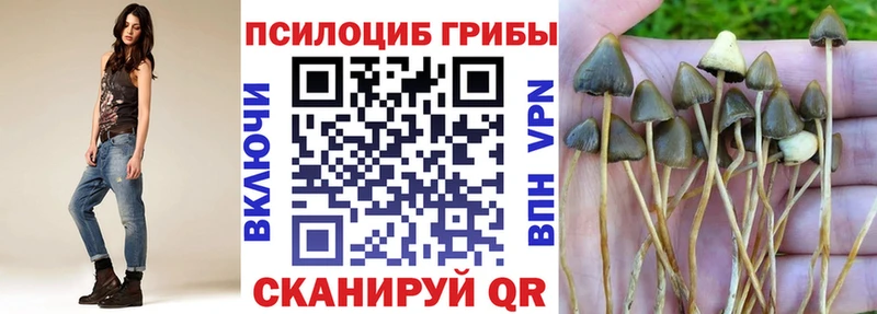 закладка Елабуга Галлюциногенные грибы ЛСД